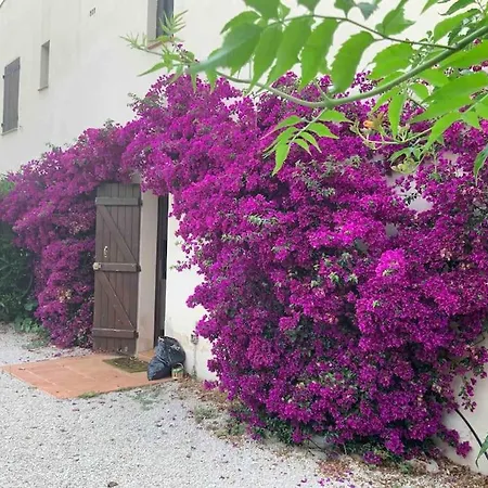 St Cyr Sur 6pers Avec Jardin Et Parking A 30m De La Saint-Cyr-sur-Mer